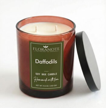 Daffodils